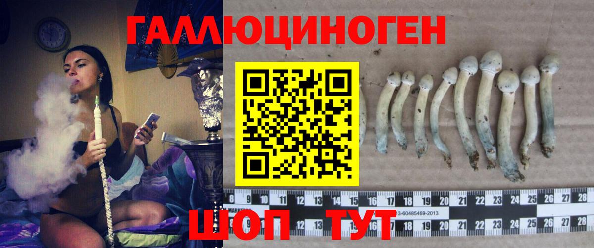 Миасс  Галлюциногенные грибы ЛСД  Вход с VPN 